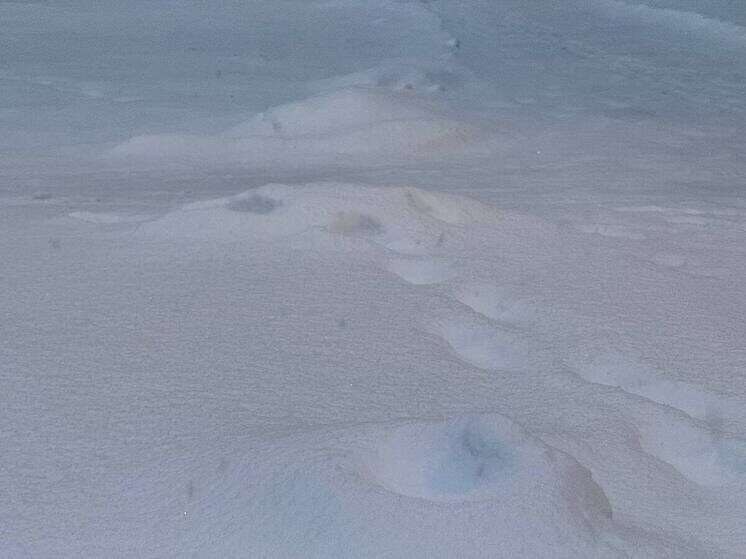     Фото: архив МК в Питере.