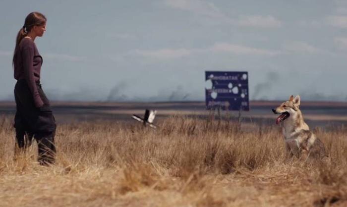 Обложка © Telegram / ТАВРИДА.АРТ