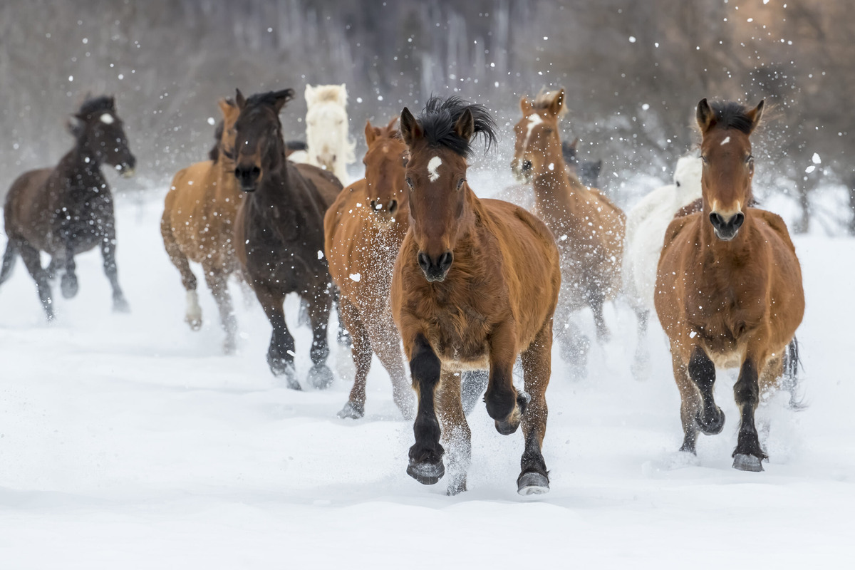 Фото: GettyImages
