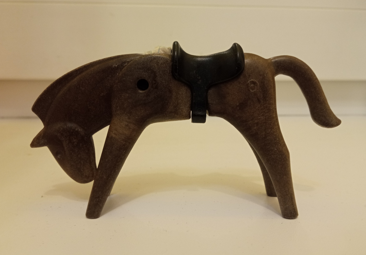 Вот она — героиня истории и верная спутница игр.