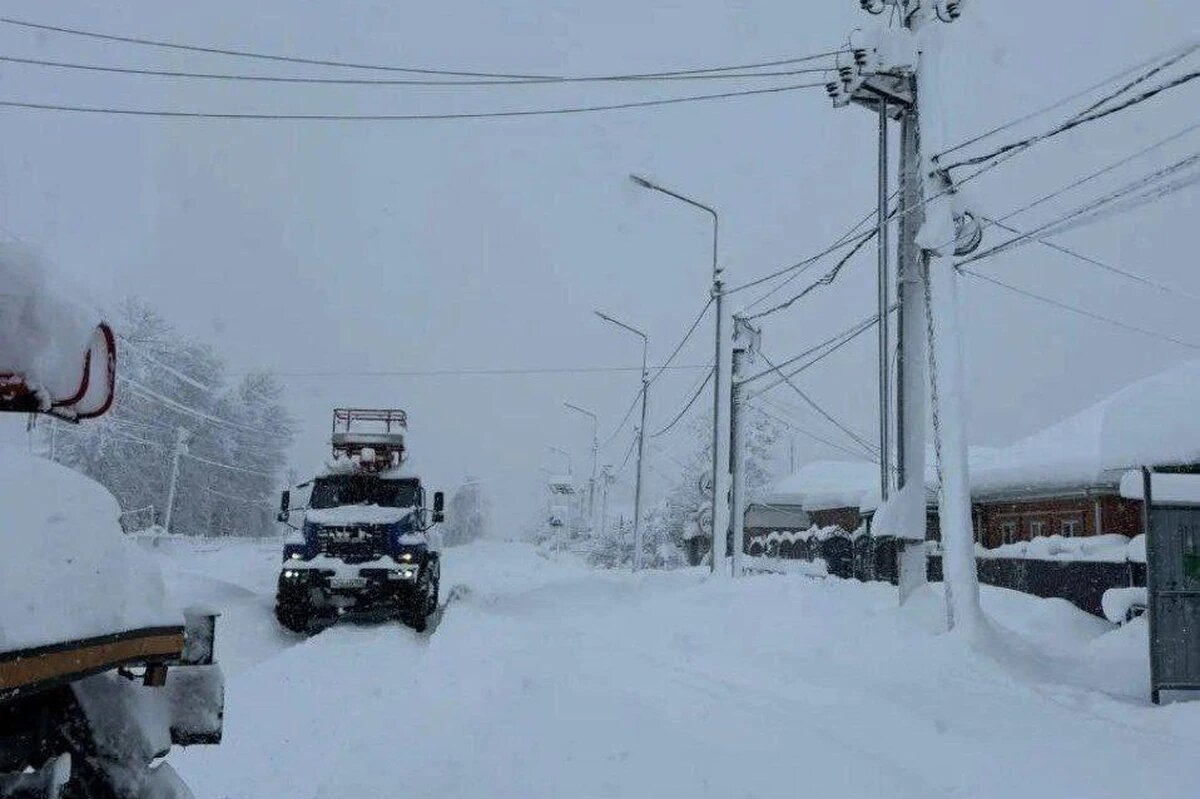    Фото t.me/obyavleniebelorechensk