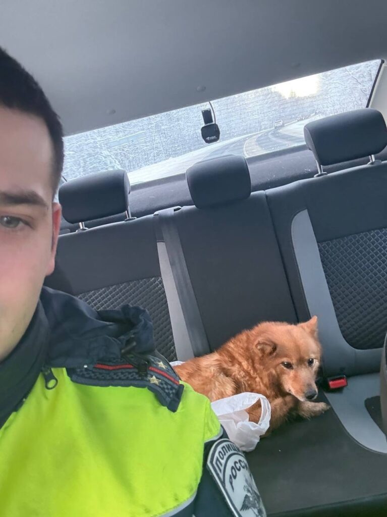    Фото: Полиция Прионежья