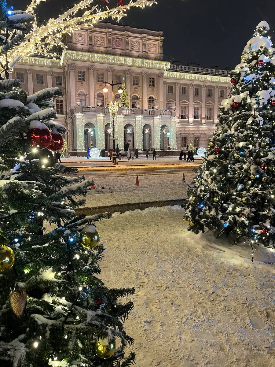 Здание Мариинского дворца со стороны "Зимнего сада"
