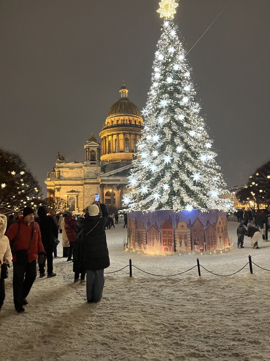 Елка и снежные деревья в Исаакиевском сквере