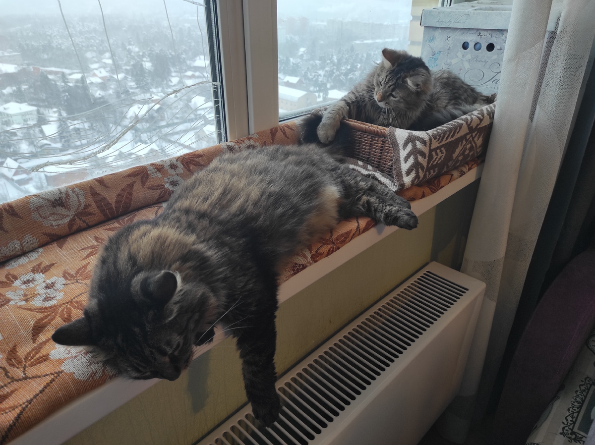 Я только потрогаю и всё