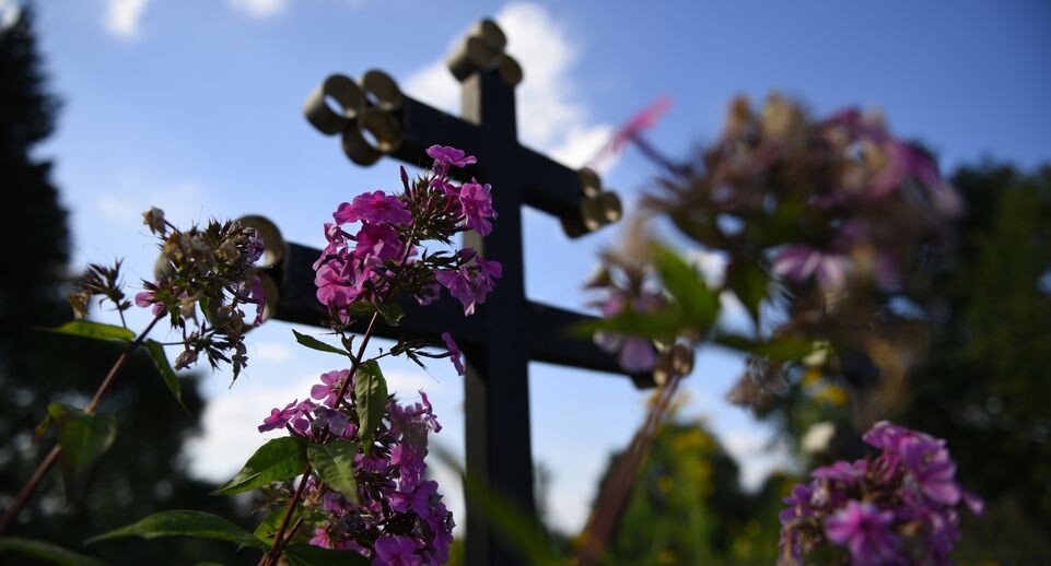    Кладбище в деревне Поповка Троицкого административного округа / Медиасток.рф