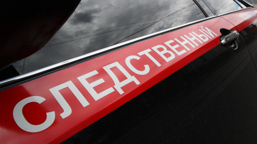    Фото: ИЗВЕСТИЯ/Зураб Джавахадзе