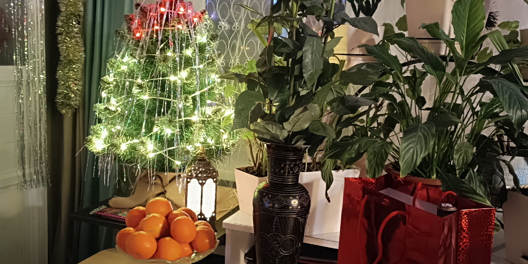 Новый год не по плану🤷Как-то не очень весело закончили старый и начали новый год.