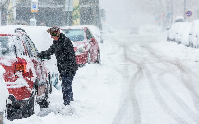 Фото: Shutterstock