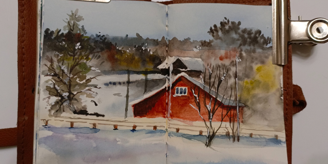 Зимние наблюдения, дневник художника.