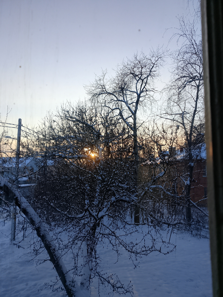 Вид из окна