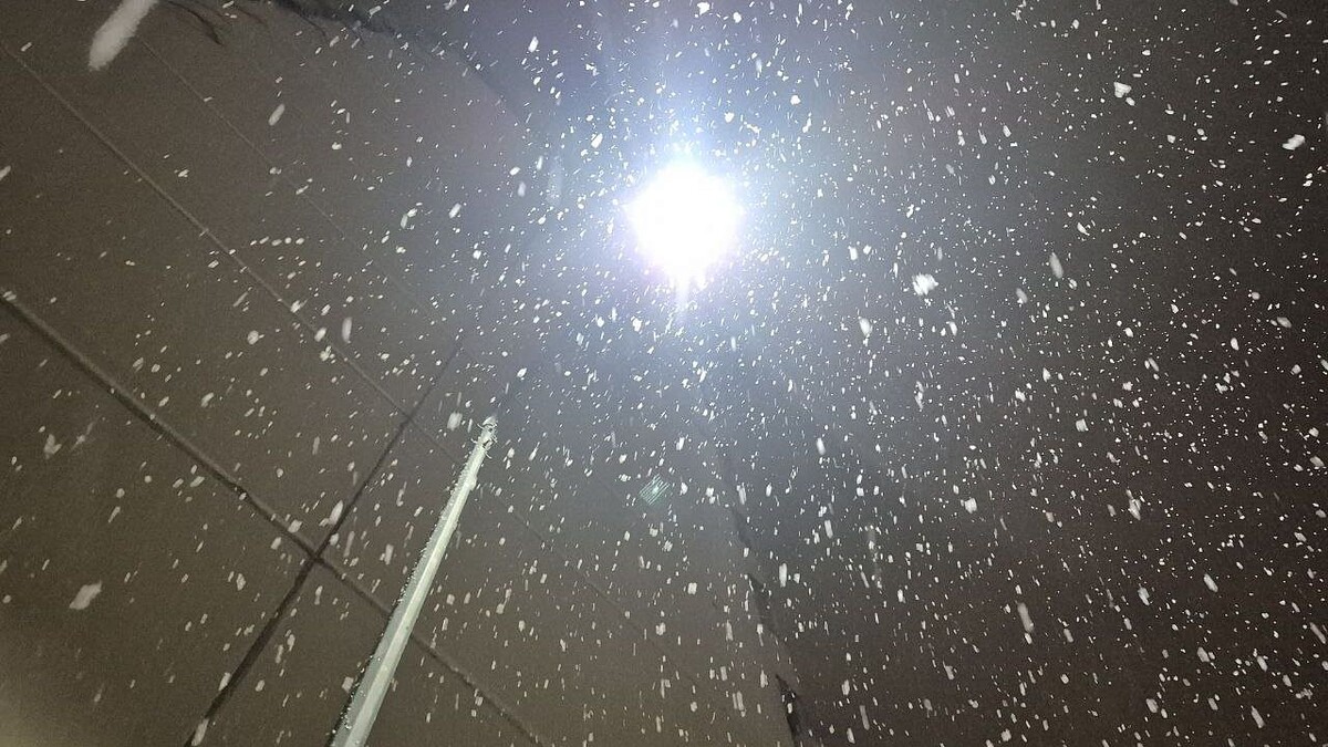    Фото: телеканал «Краснодар»