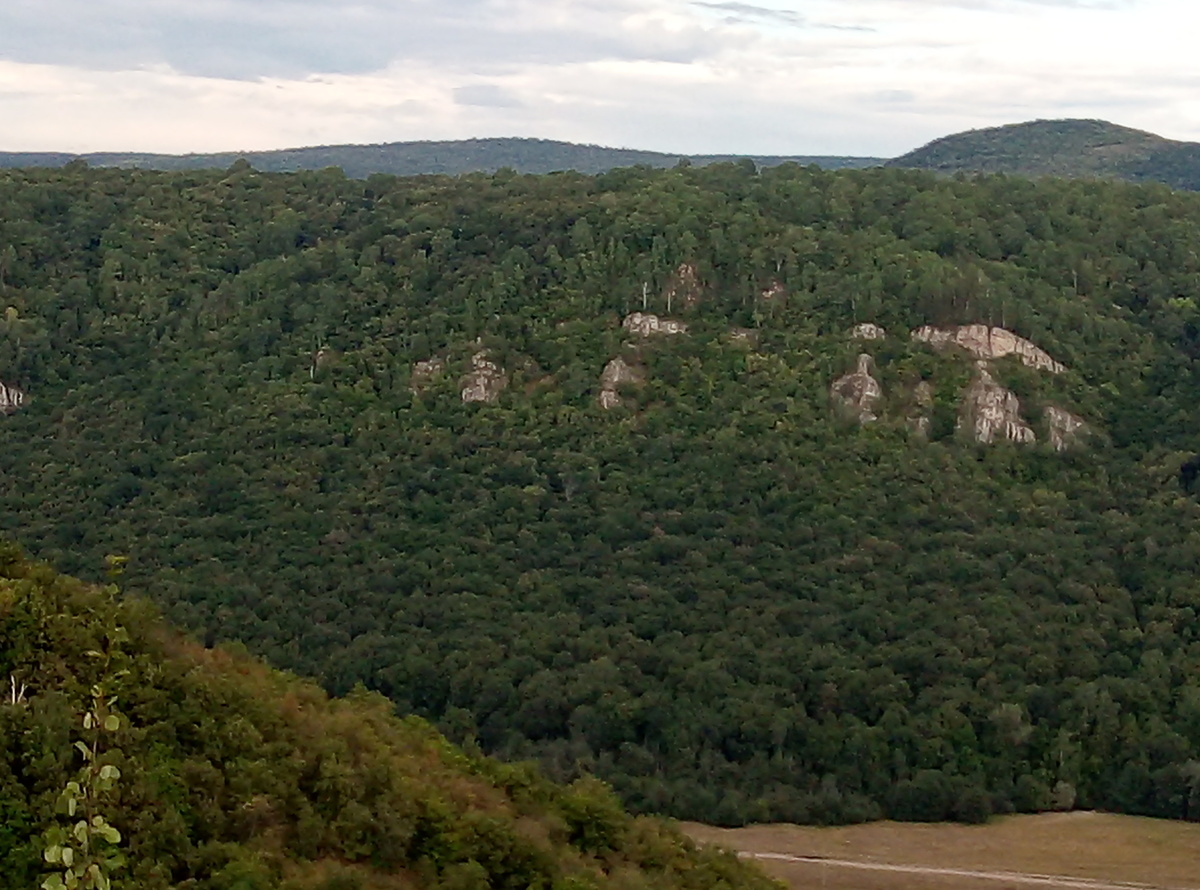     ҮКЕНЕСЛЕ ЯҘМЫШ (Хикәйә)