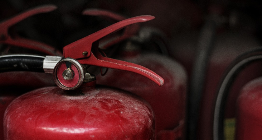    Фото: Сайт freepic.com