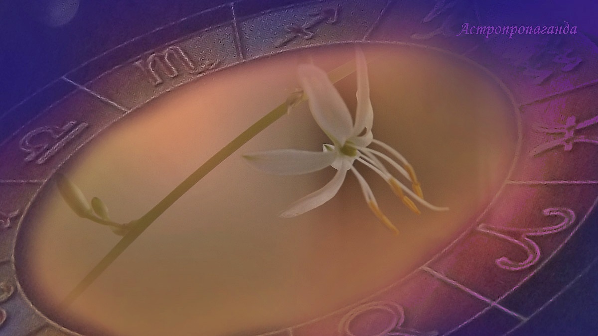 Гороскоп с 5 по 11 января 2026: три соединения, три оппозиции | Недельный гороскоп