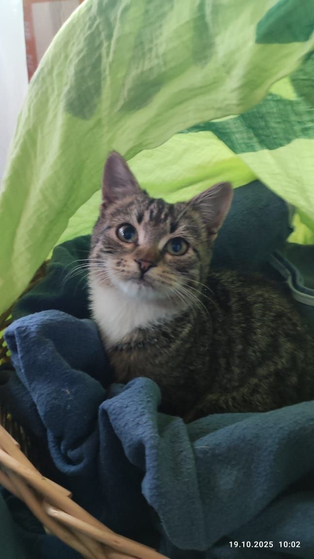 Ладно. Давайте передержку, а там поглядим