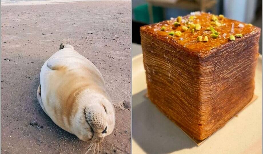 14 особенностей датской жизни на фотографиях, о которых не пишут в путеводителях