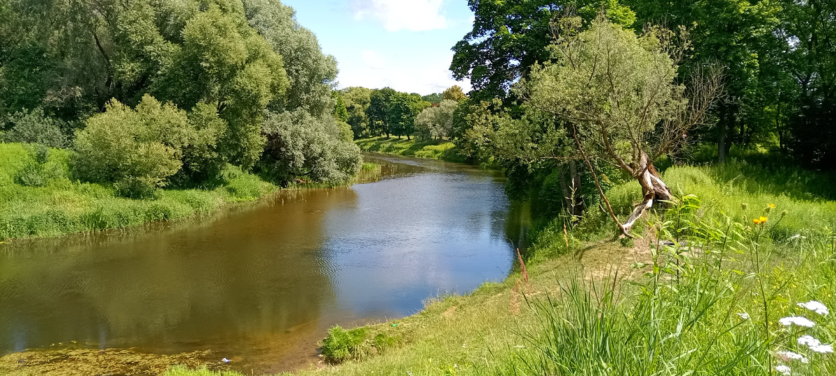 Почему-то захотелось вставить летнюю фотографию. Где-то в окрестностях Черняховска. 