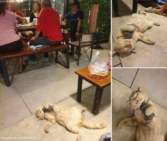 Фото: mihir6969 / Reddit 