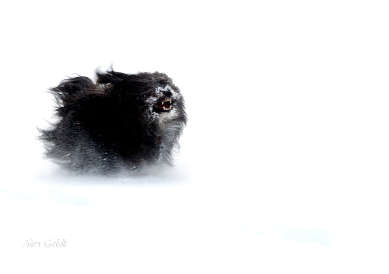 Из личного архива, 2013 год. 