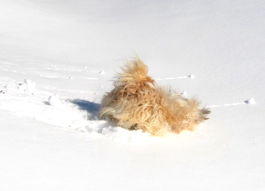 Из личного архива, 2013 год. 