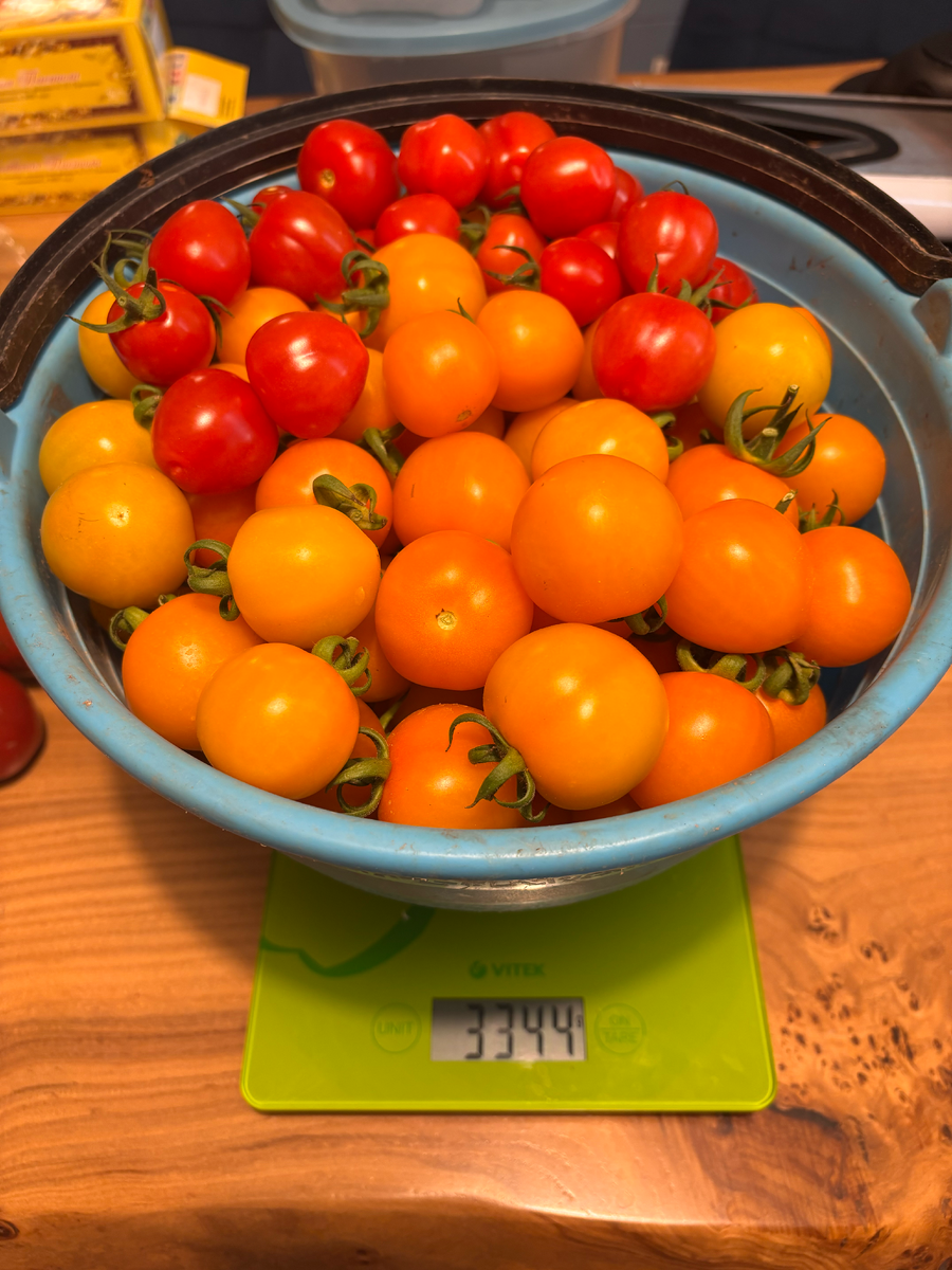 +чуток томатоберри