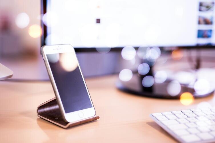    Фото: Robin van der Ploeg on Unsplash