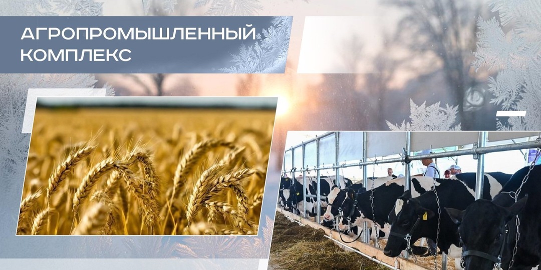 Сокращение зернового клина и генетический прорыв: как аграрии Татарстана завершают год