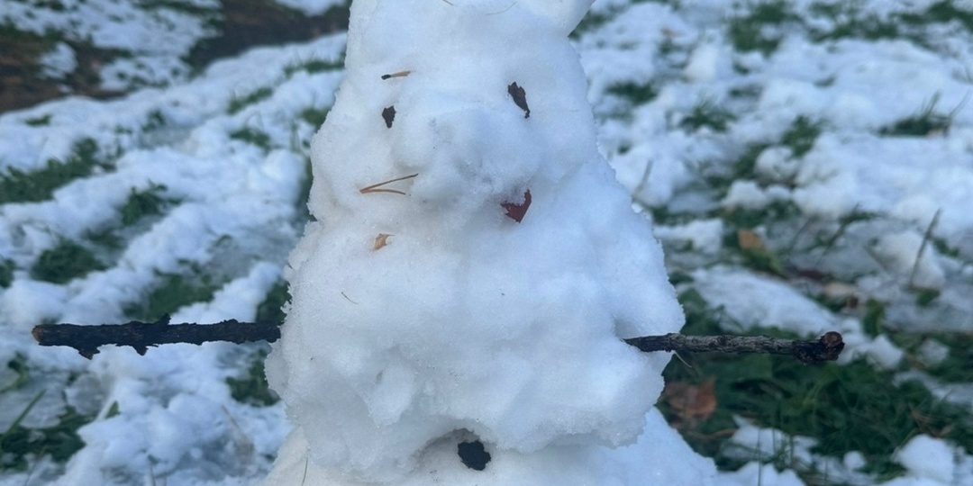 Коммунальные службы спасают Подмосковье от сугробов 4 января