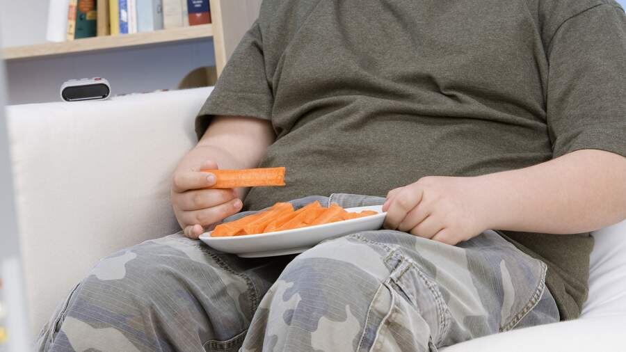    Фото: Global Look Press/West Coast Surfer