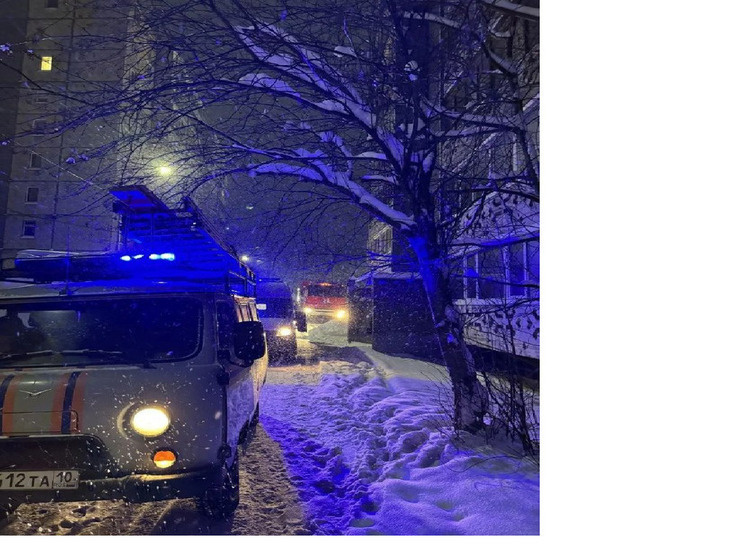     Фото: Госкомитет Карелии по безопасности населения