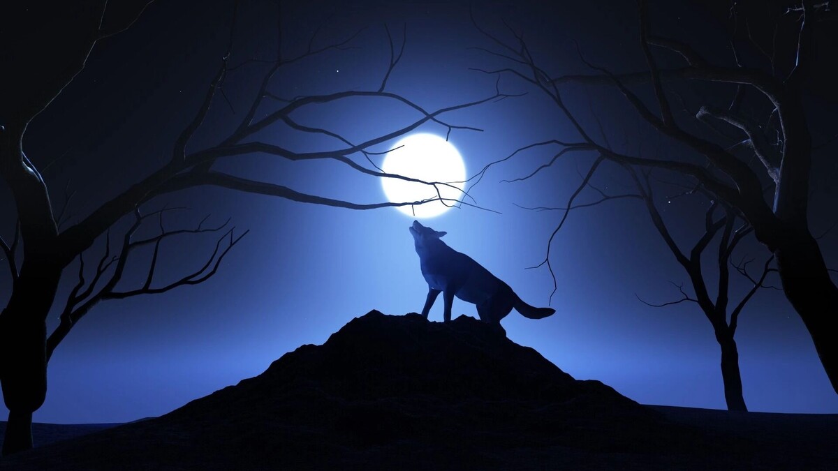    волчья Луна   freepik.com