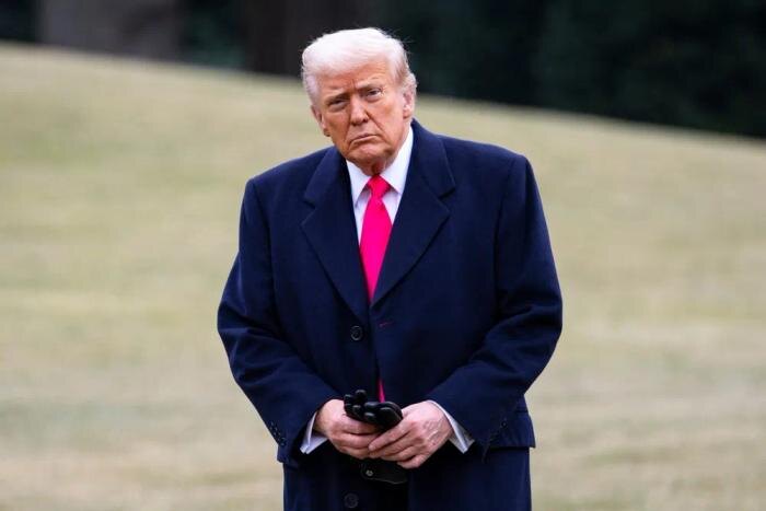 Обложка © Shutterstock / FOTODOM / Joshua Sukoff