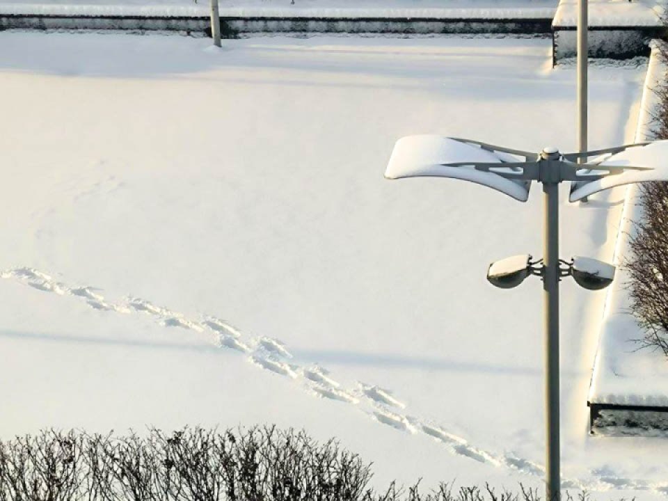    Фото: REGIONS/Роман Малышенко