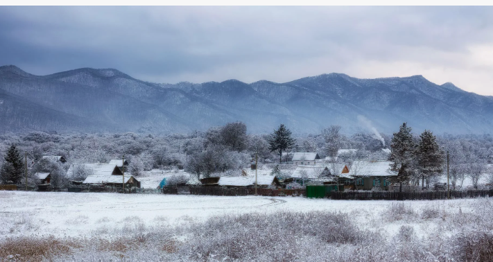 Яндекс картинки