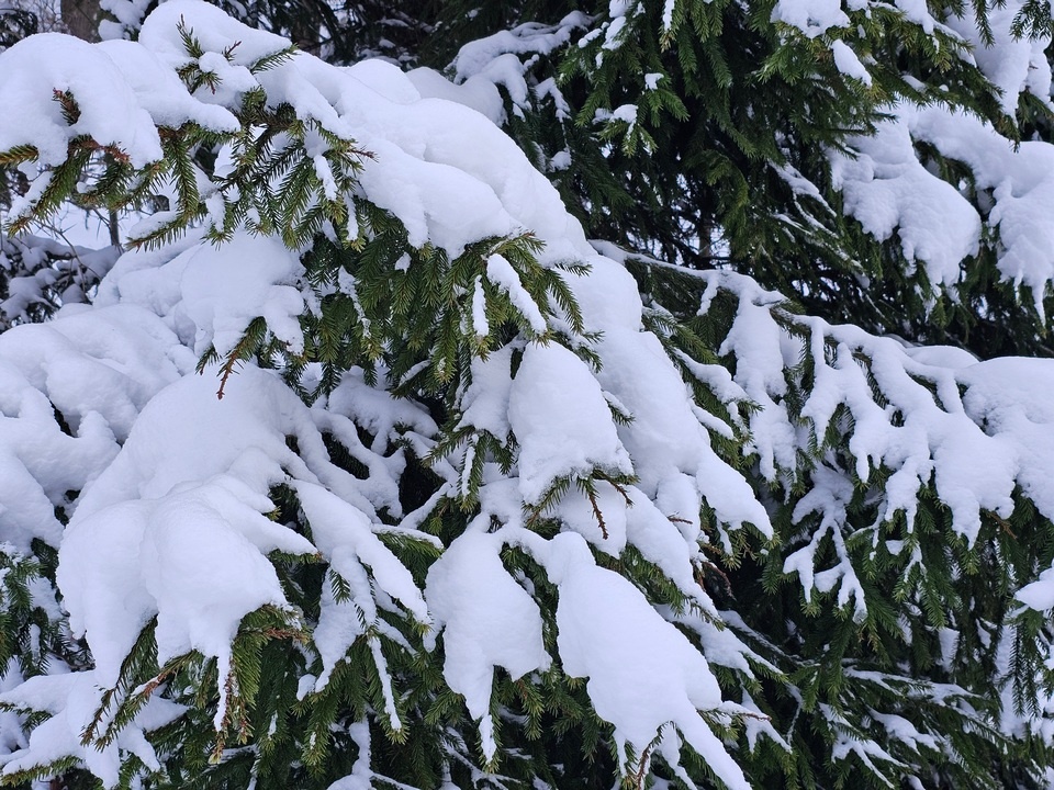    Фото: REGIONS/Александр Дрожжин