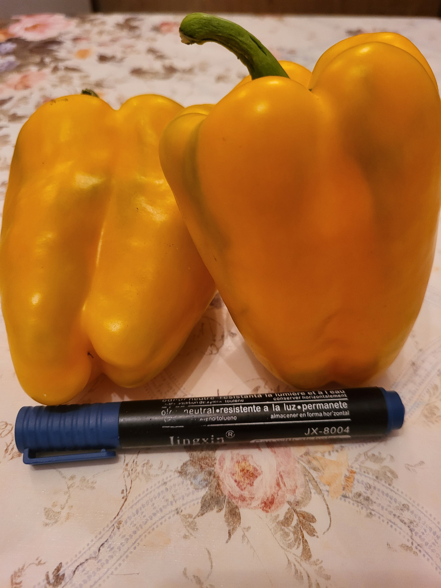 Перец Жёлтый бизон 