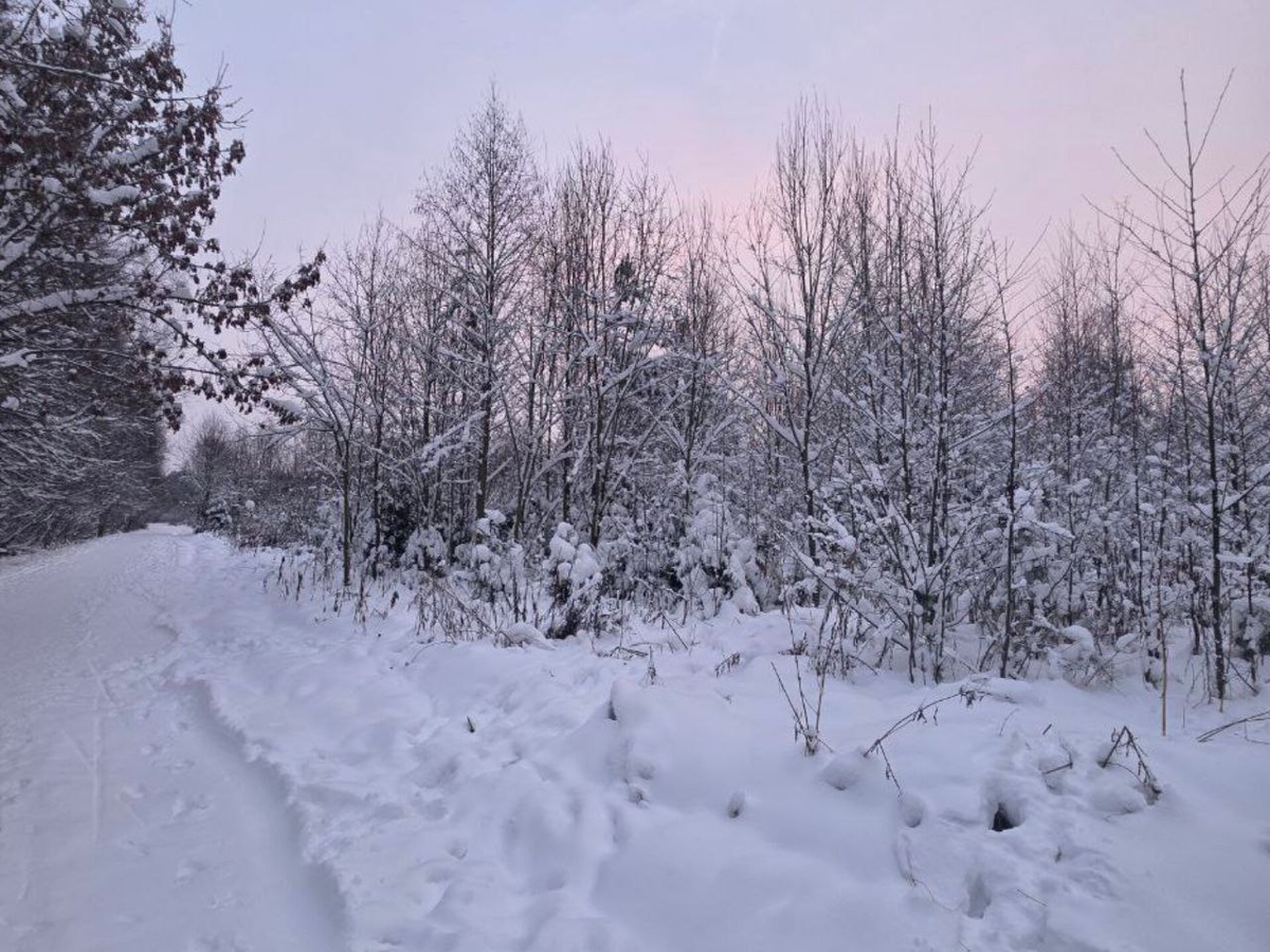    Фото: REGIONS/Ольга Ковалева