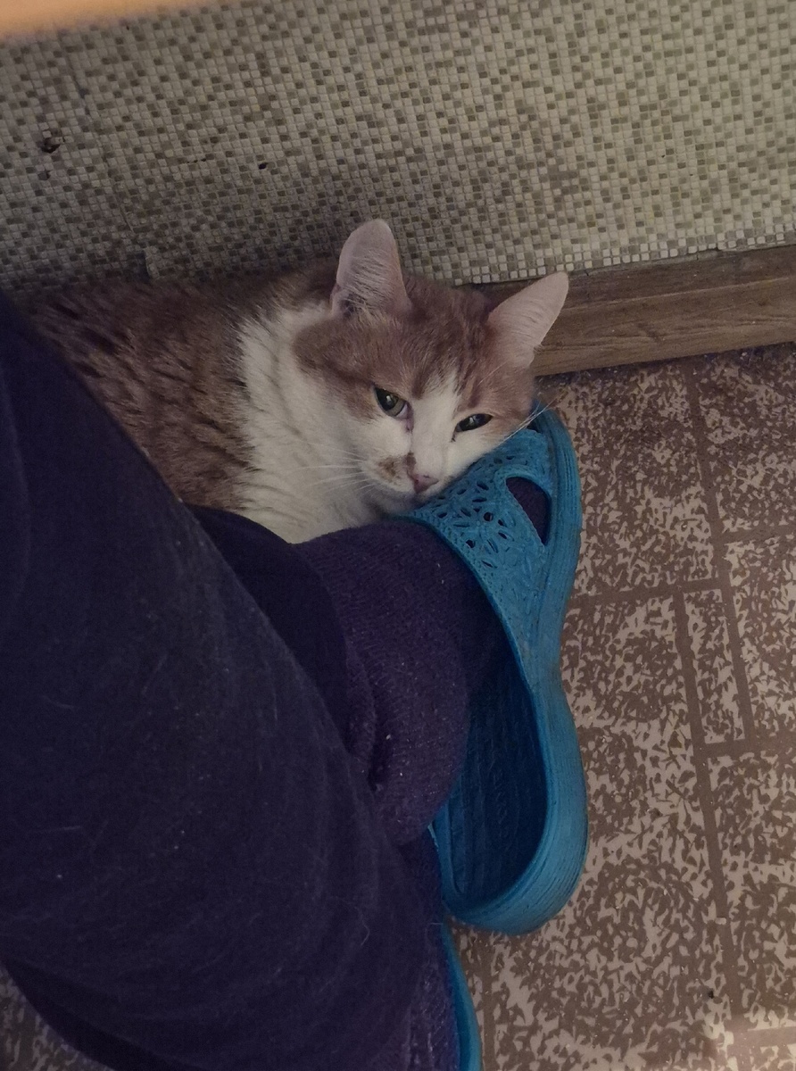 ночь. работаем