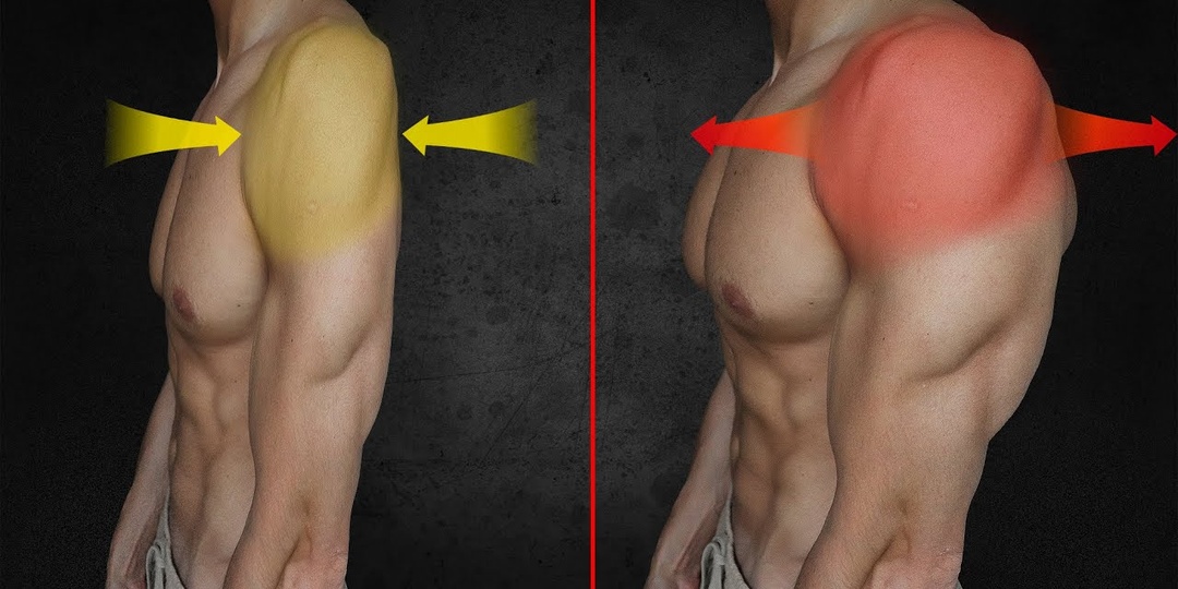 Плечи: как качать без боли и травм. Разбираем главные ошибки. + 10 лучших упражнений