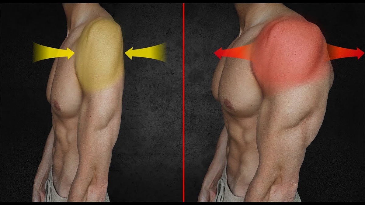 Изображение взято из окрытого источника