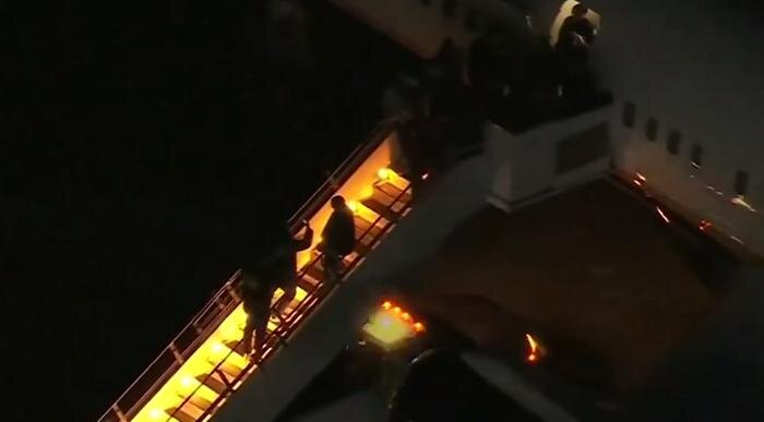 Обложка © X / wsvn