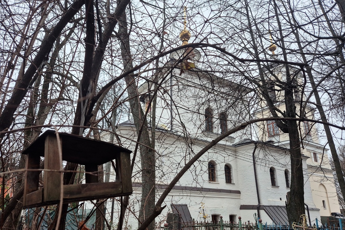    Артем Локалов