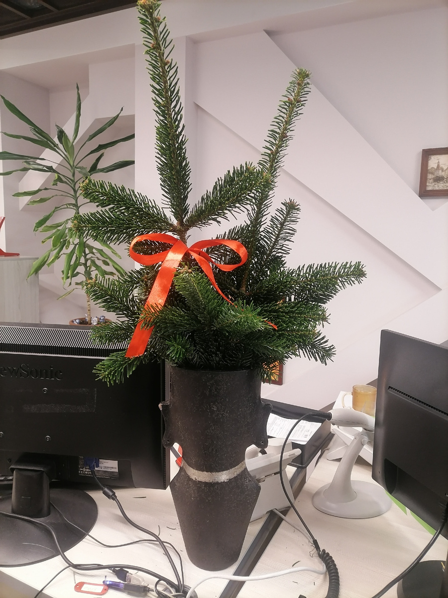 Личное фото автора, архив