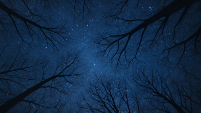 Уложите свой хаос. Астрологический прогноз для каждого знака зодиака на 4 января