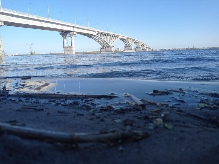     Фото: Вячеслав Коротин