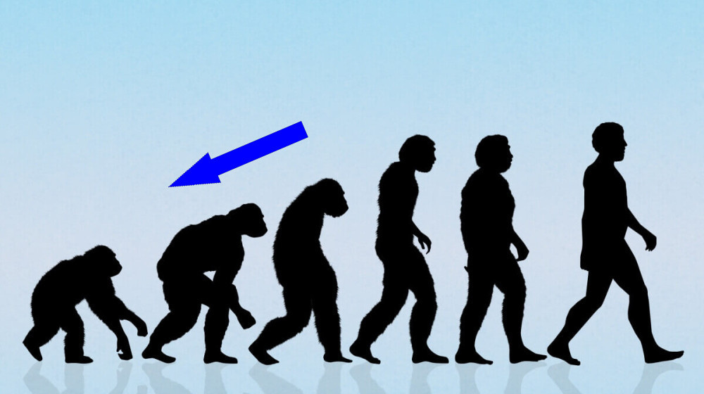    Почему так много людей не верят в эволюцию и хотят убрать её из школ