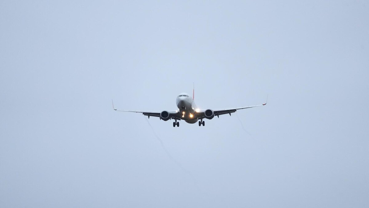    Фото: ИЗВЕСТИЯ/Дмитрий Коротаев