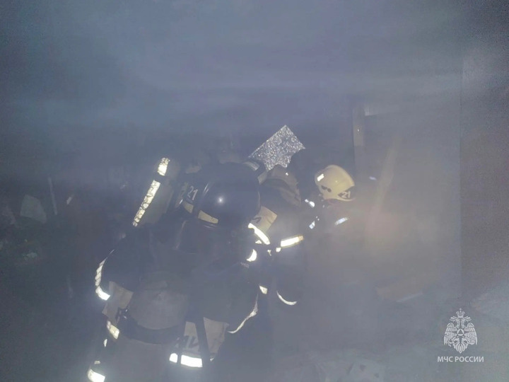     Фото: ГУ МЧС России по Алтайскому краю