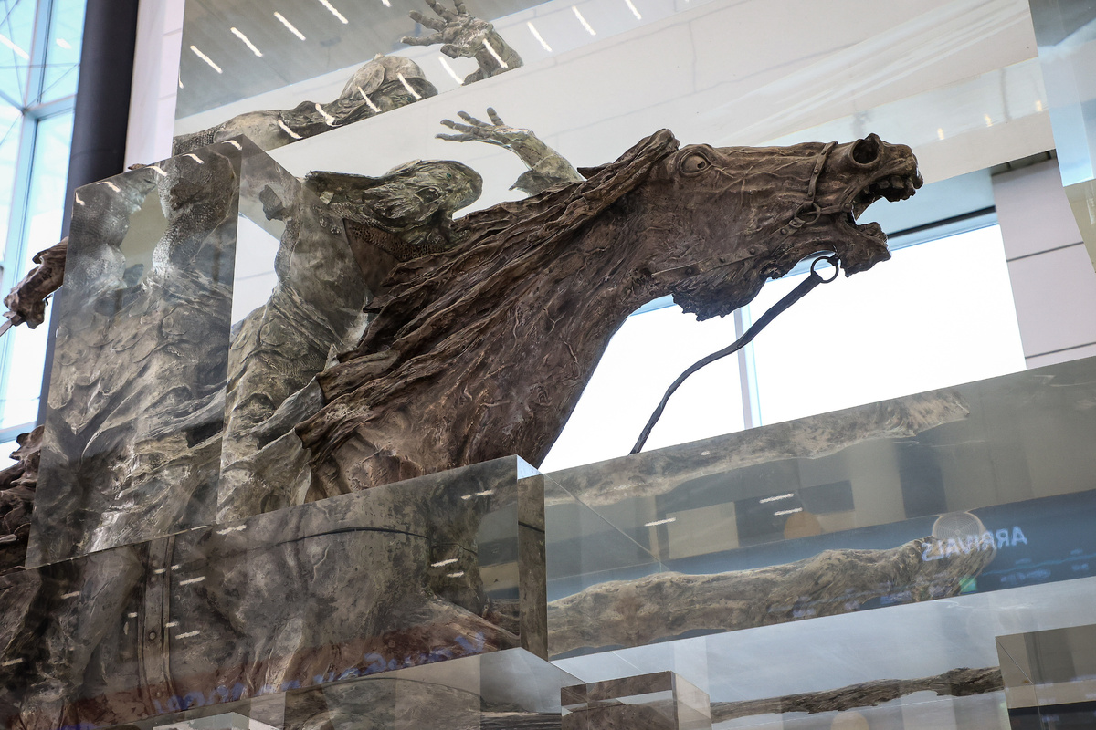    Фото: Ростислав Нетисов, nsknews.info